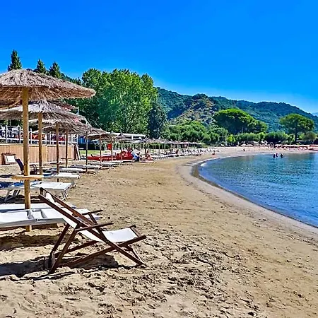 Krio Gelsomare Ispani