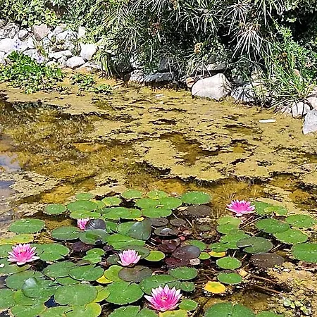Krio Gelsomare Hotel Ispani